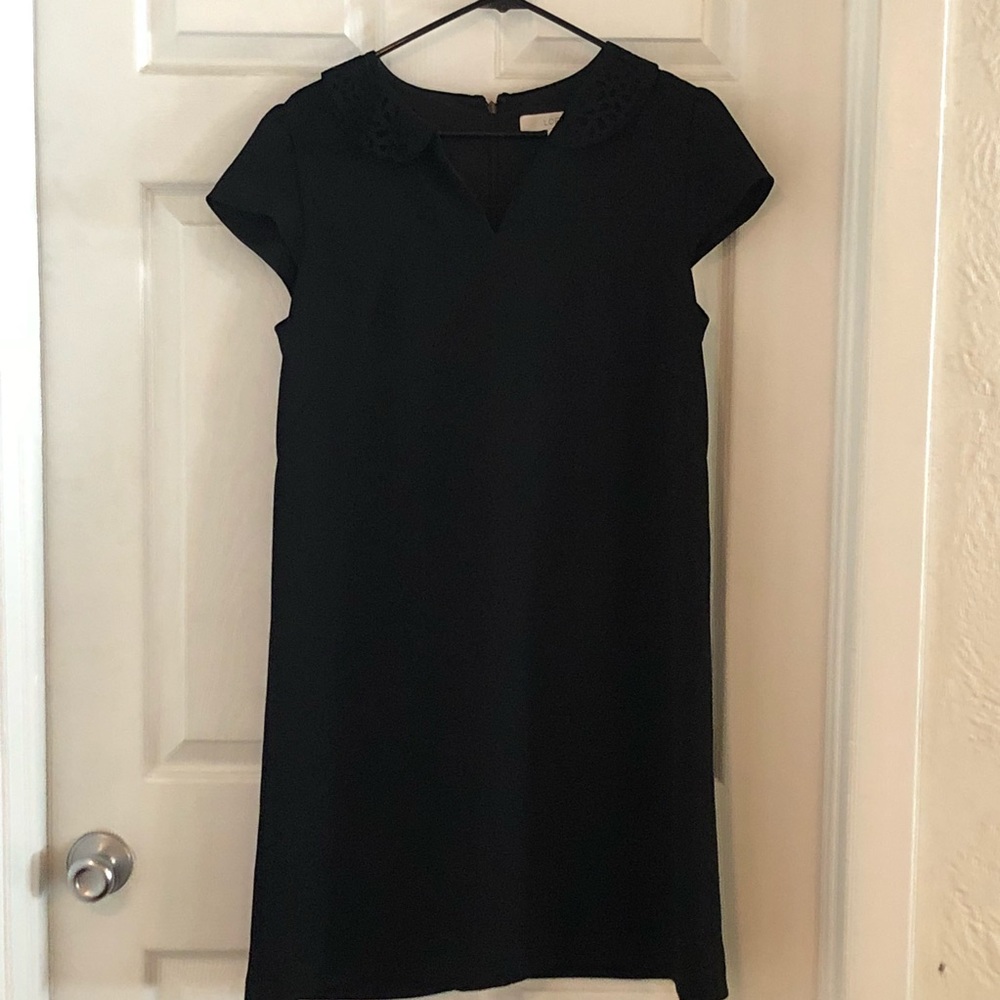 Ann Taylor LOFT Peter Pan Laser Collar Dress